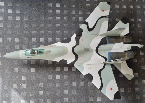 Su-27 Demonstrator