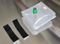 Beuteltank für MIG 29, Freewing